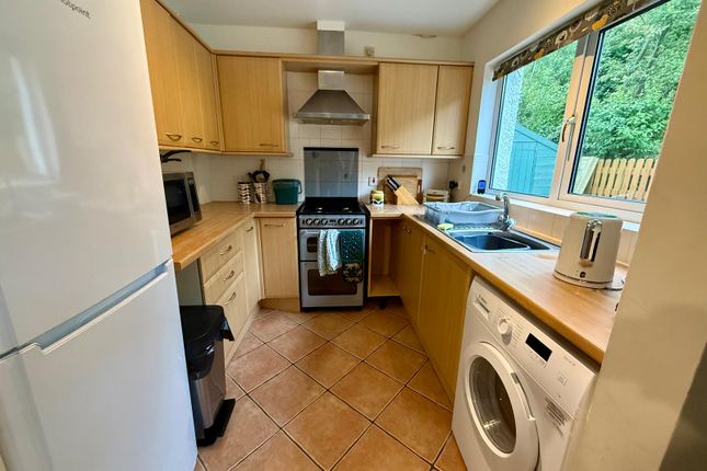 The Pines, Elysian Grove, Aberystwyth photo 4
