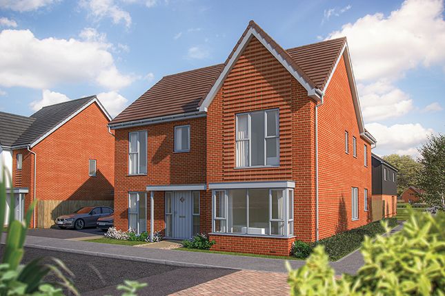 Thumbnail Detached house for sale in "The Maple" at Colchester Road, Coggeshall, Colchester