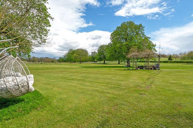 South Facing Gardens