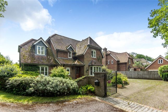Thumbnail Detached house for sale in Butteridge Rise, Awbridge, Romsey, Hampshire