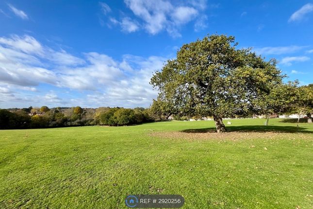 Priory Grove, Romford photo 4