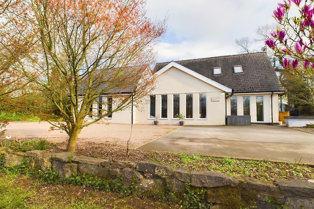 Thumbnail Bungalow for sale in Willow House, Five Lanes, Caerwent