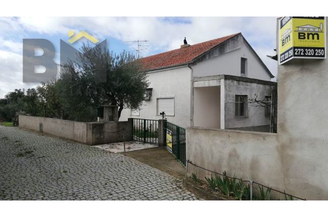Thumbnail Detached house for sale in Lardosa, Castelo Branco, Castelo Branco