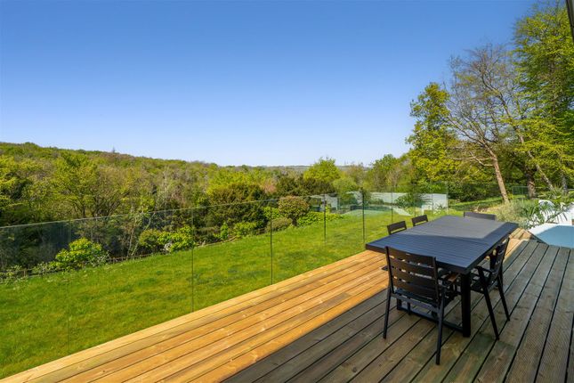 View From Terrace.Jpg