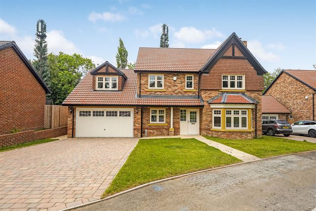Thumbnail Detached house for sale in Romanby Drive, Darlington