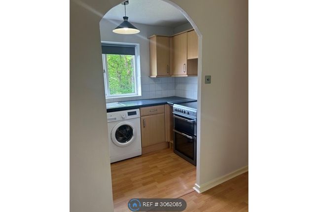 Puttocks Close, Haslemere photo 3