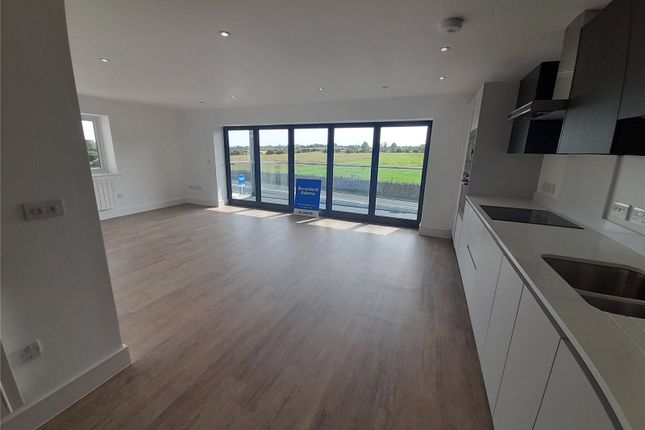 Kitchen/Living Area