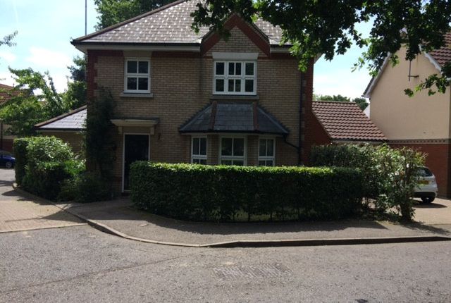 Thumbnail Detached house to rent in Handleys Chase, Basildon, Essex
