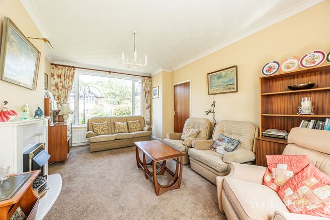 53 Grove Walk, Norwich photo 4
