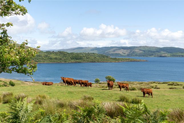 Land for sale in Torsa Island, Oban, Argyll