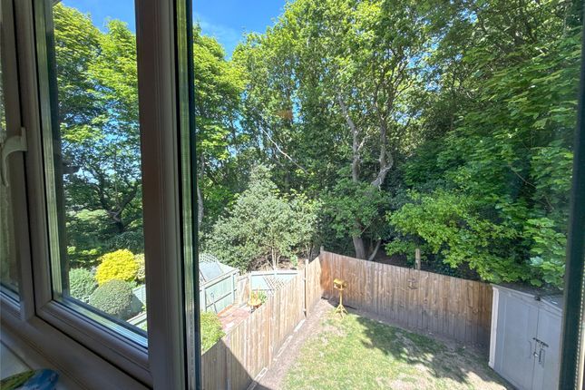 Window View