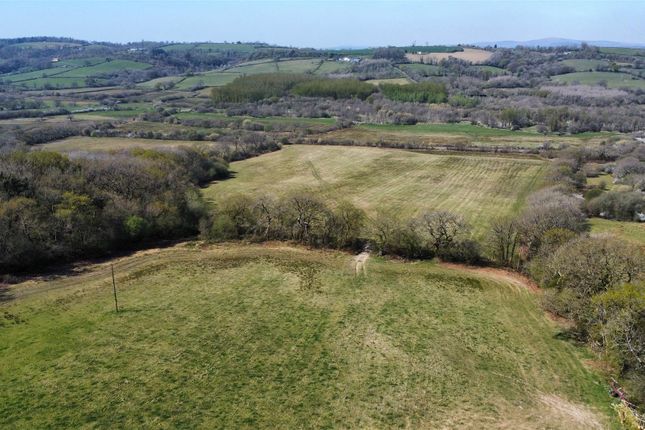 Dji_Fly_20250411_135258_163_1744376273844_Photo_Op