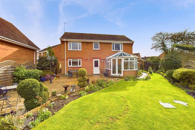 Thumbnail Detached house for sale in Factory Lane, Roydon, Diss