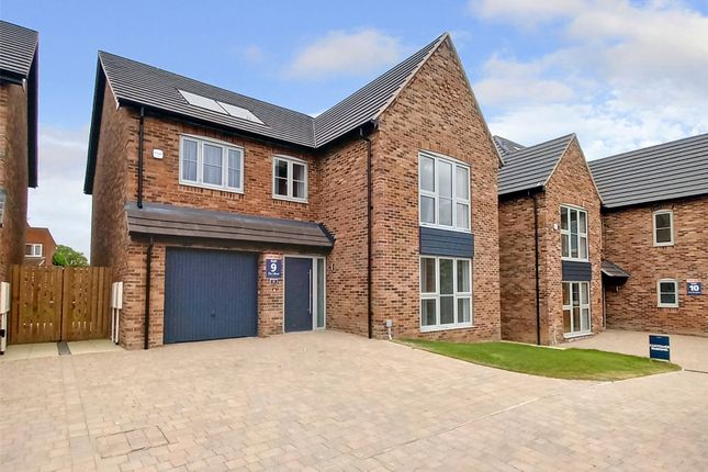 Thumbnail Detached house for sale in Plot 9, The Langtons, Redmarshall
