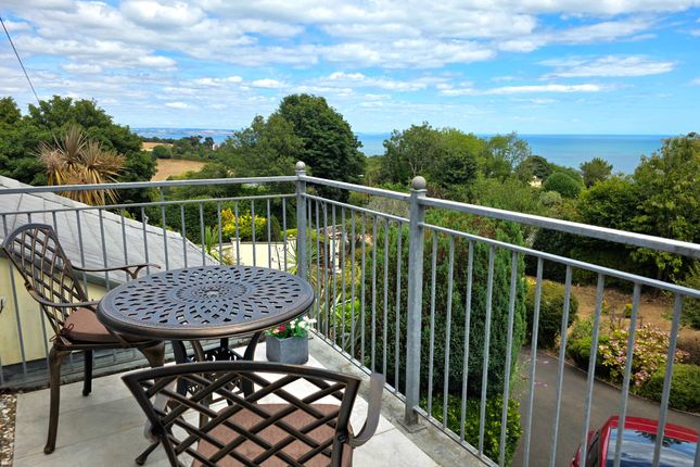 Combe Mount, Torquay photo 3