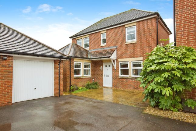 Thumbnail Detached house for sale in Cecil Gardens, Sarisbury Green, Southampton, Hampshire