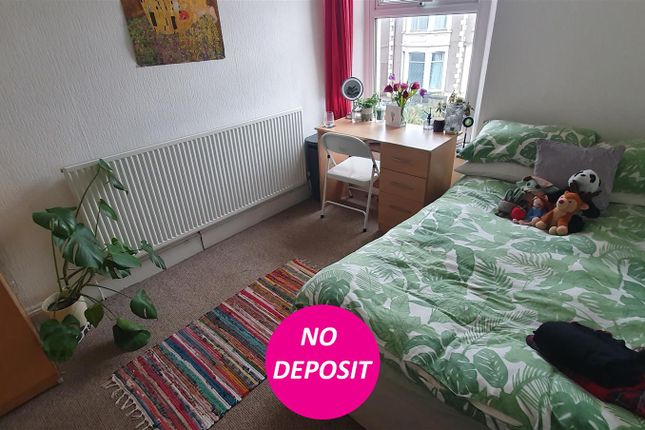 Thumbnail Property to rent in Salisbury Road, Cathays, Cardiff