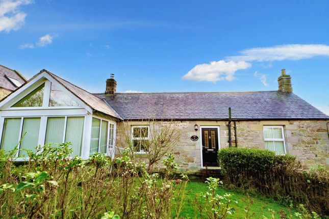 Thumbnail Bungalow for sale in Sharperton, Morpeth