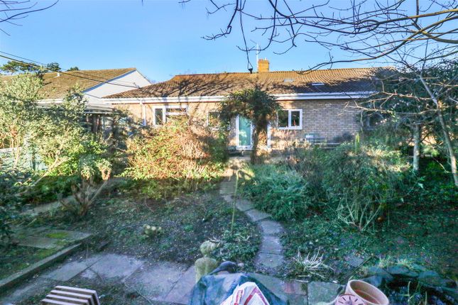 Detached bungalow for sale in Chippenham Road, Fordham, Ely