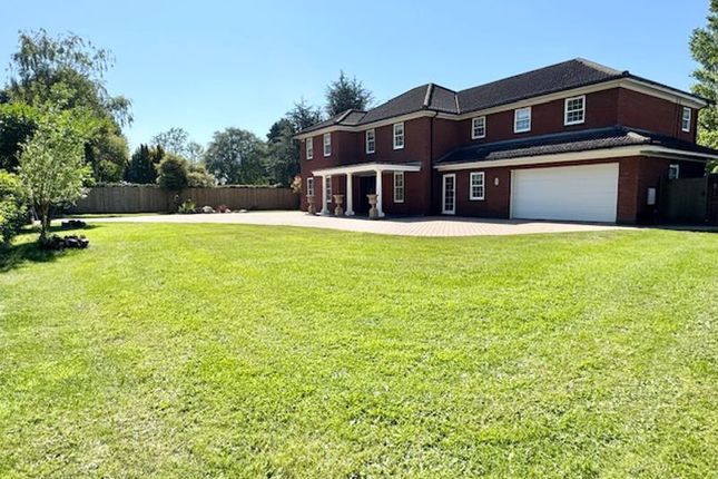 Front Garden And House