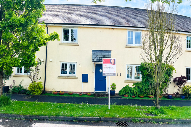 Thumbnail Terraced house for sale in Cannington Road, Tiverton, Devon