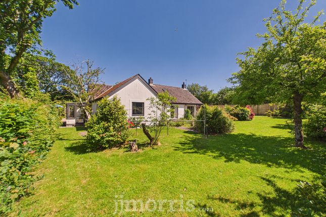 Ystrad Fflur Long Street, Newport photo 3