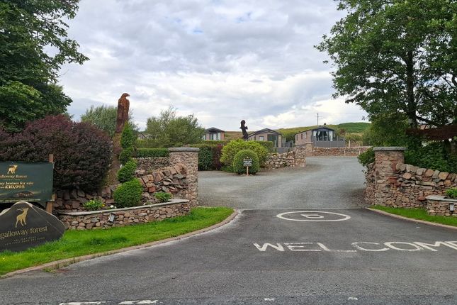Galloway Forest Holiday Park, Newton Stewart photo 3