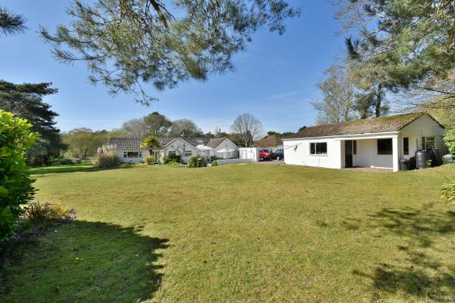 Virginia Cottage, Barrack Road, Ferndown photo 2