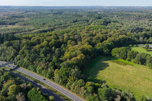 Thumbnail Land for sale in Land, Conford, Liphook
