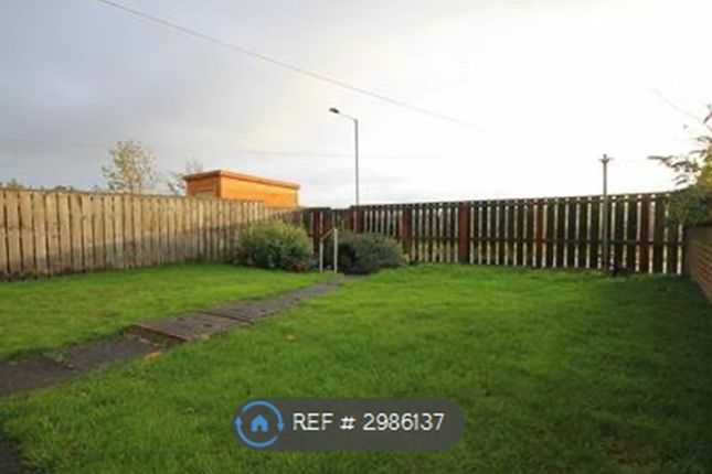 Thornley Close, Ushaw Moor, Durham photo 2