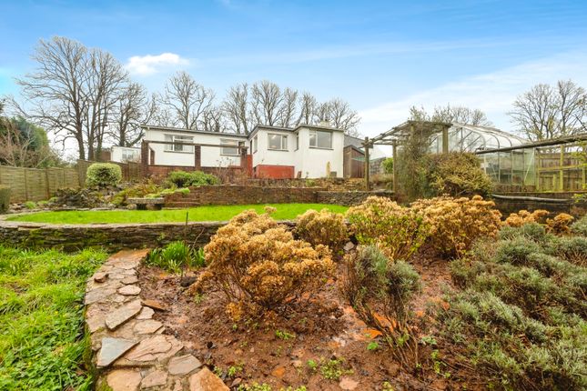 Thumbnail Bungalow for sale in Newton Road, Torquay