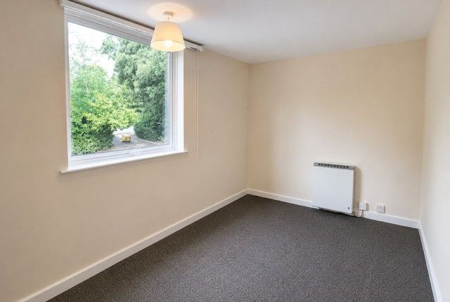 12, Southampton photo 5