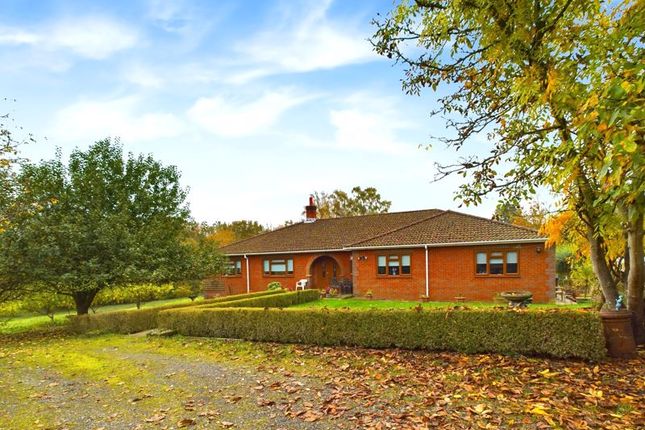 Front Aspect From Driveway