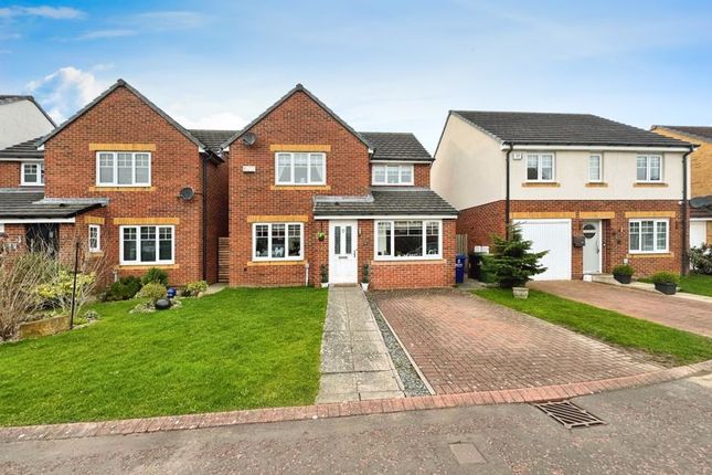 Thumbnail Detached house for sale in Derwent Water Drive, Blaydon-On-Tyne