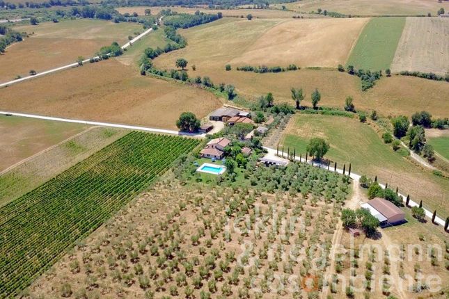 Farm for sale in Italy, Tuscany, Grosseto, Scansano