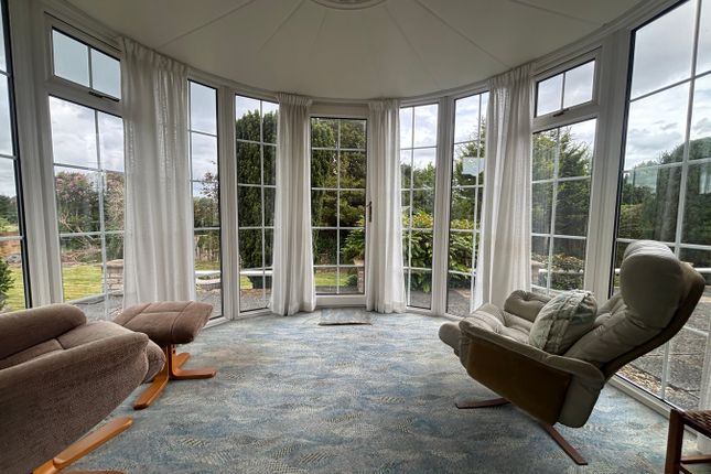 Bodlondeb, Maestir Road, Lampeter photo 4