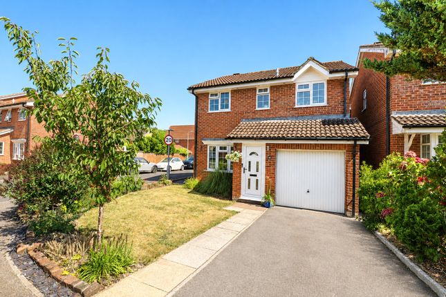 40 Lion d'Angers, Wiveliscombe Taunton Somerset, Somerset photo 4