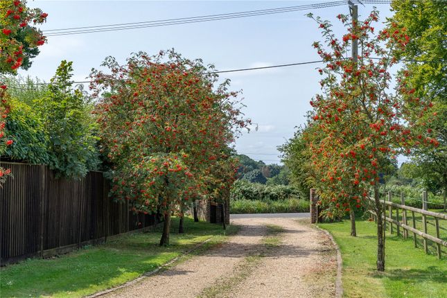 Roedowns House,, Roe Downs Road, Alton photo 2
