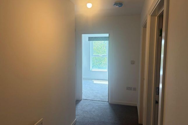 11, Wicks Place, Chelmsford photo 3