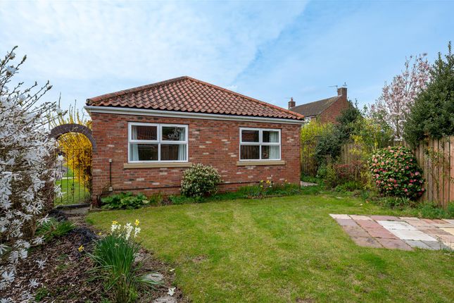Thumbnail Detached bungalow for sale in Sycamore View, Upper Poppleton, York