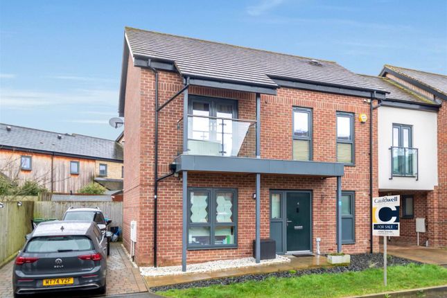 Extended Studyfamily Room.Jpg.Jpg