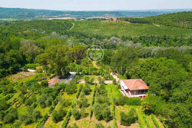 Thumbnail Villa for sale in Giove, Terni, Umbria