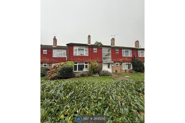 Welling photo 2