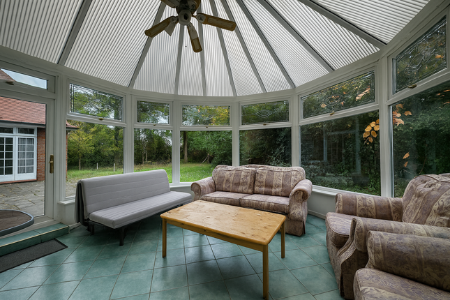 19, Winnington Road, London photo 4