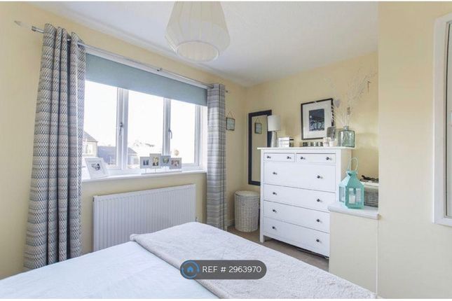 Comfrey Close, Heatherton Village, Littleover, Derby photo 5