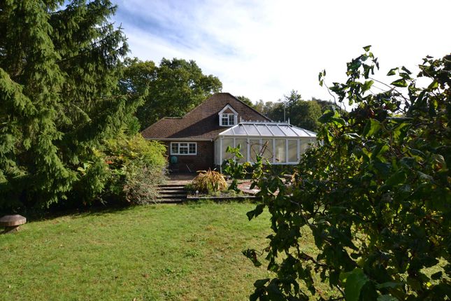 Detached bungalow for sale in Hollywater Road, Bordon, Hampshire