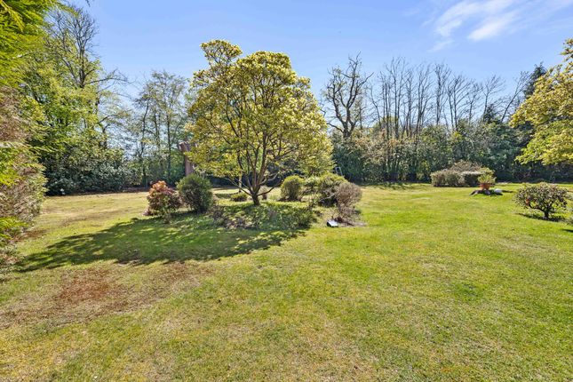 Zaynah Hophurst Hill, Crawley photo 4