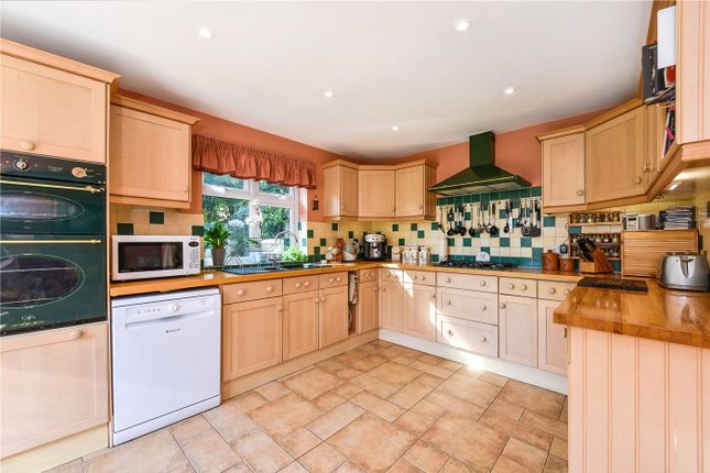 Detached house to rent in Long Down, Petersfield, Hampshire