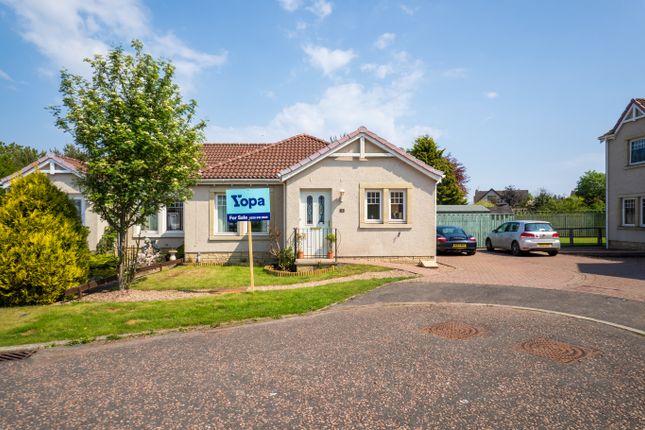Thumbnail Semi-detached bungalow for sale in Teal Place, Montrose