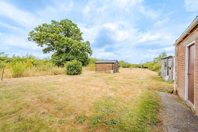1 Gissing Road, Diss photo 4